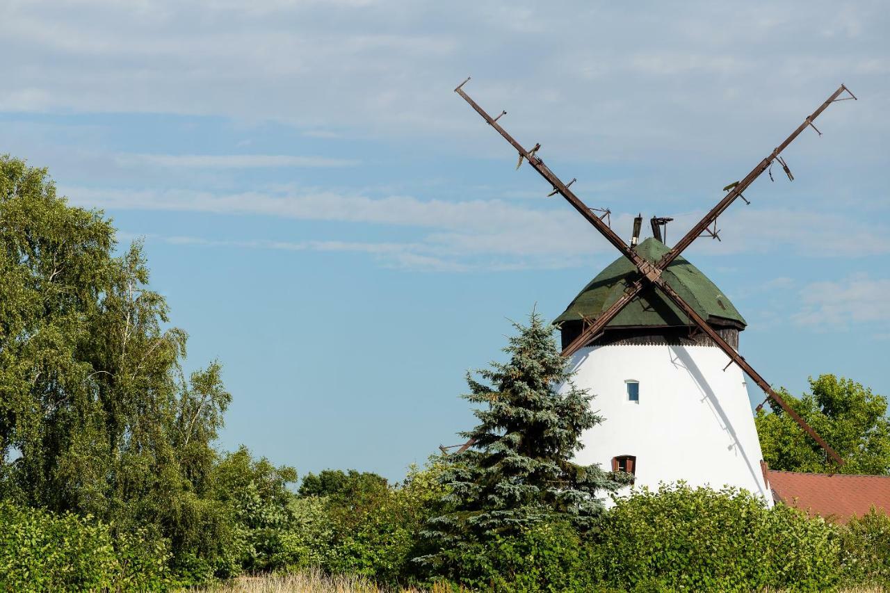 Windmill Vacation Home In Ledzin Near Baltic Sea Niechorze Zewnętrze zdjęcie