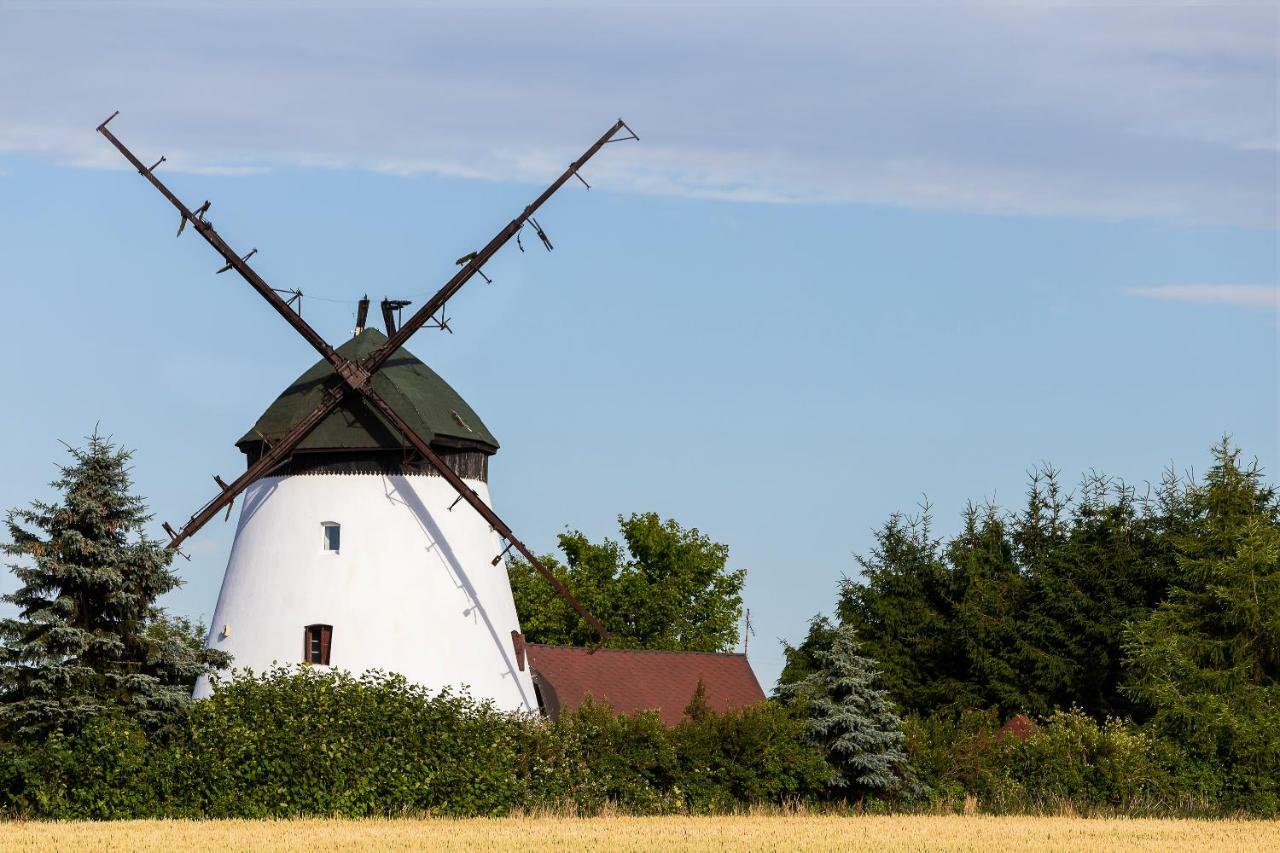 Windmill Vacation Home In Ledzin Near Baltic Sea Niechorze Zewnętrze zdjęcie
